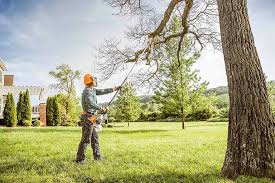 How Our Tree Care Process Works  in  North Merrick, NY