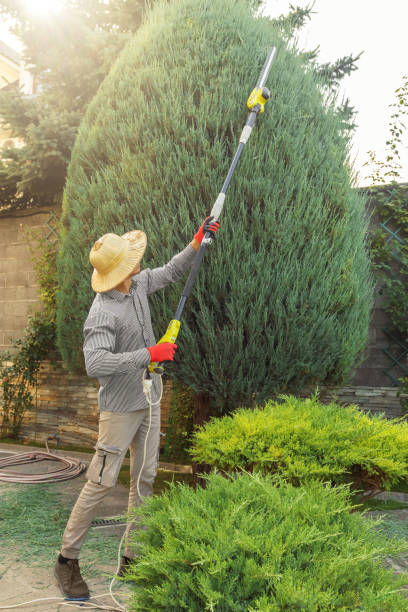Best Soil Testing and Treatment  in North Merrick, NY